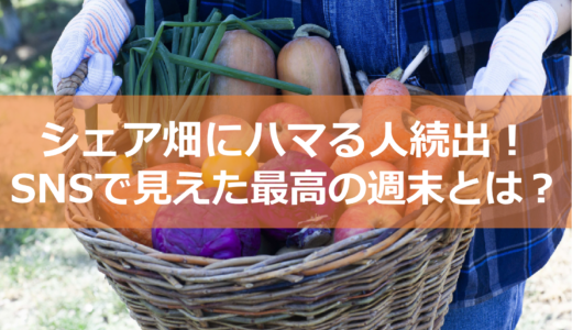 シェア畑にハマる人続出！SNSから見えた最高の週末とは？