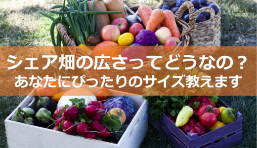 シェア畑はどの広さが正解？あなたにぴったりの理想のサイズはこれ！